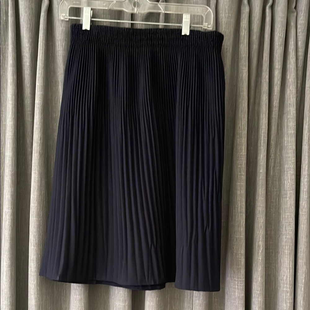Elegant Navy Pleated Skirt